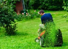 Kwikfynd Lawn Mowing
marrabel
