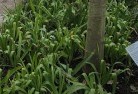 Marrabelplant-nursery-23.jpg; ?>