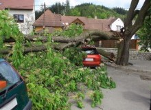 Kwikfynd Tree Cutting Services
marrabel